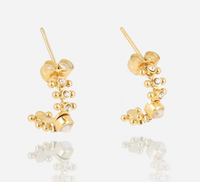 Load image into Gallery viewer, BIJOUX EARRING 111 gold